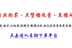 子潇快手业务平台